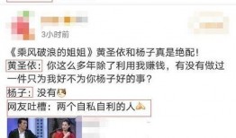 网免费吃瓜黑料泄密,黑料泄密背后的真相与反思